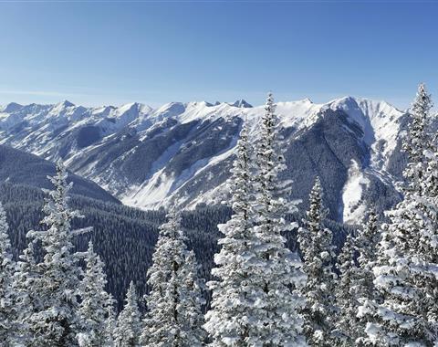 Snowy mountains and trees