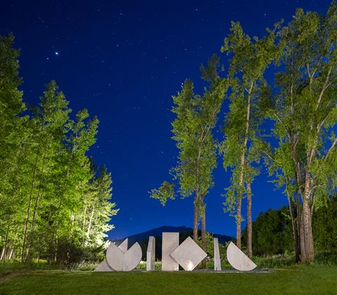 Anaconda Art Installation at Night
