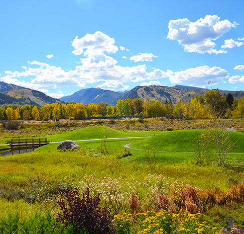 fall foliage and walking path with mountains