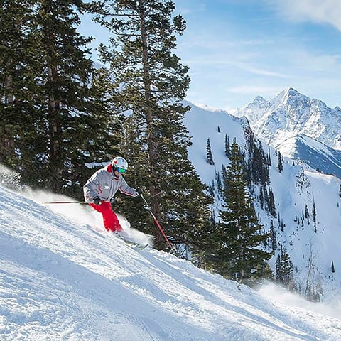 Aspen Meadows Resort | Resort in West End of Aspen, Colorado