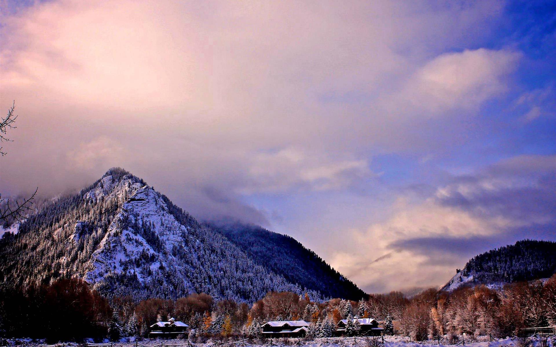 Aspen Meadows in the Fall