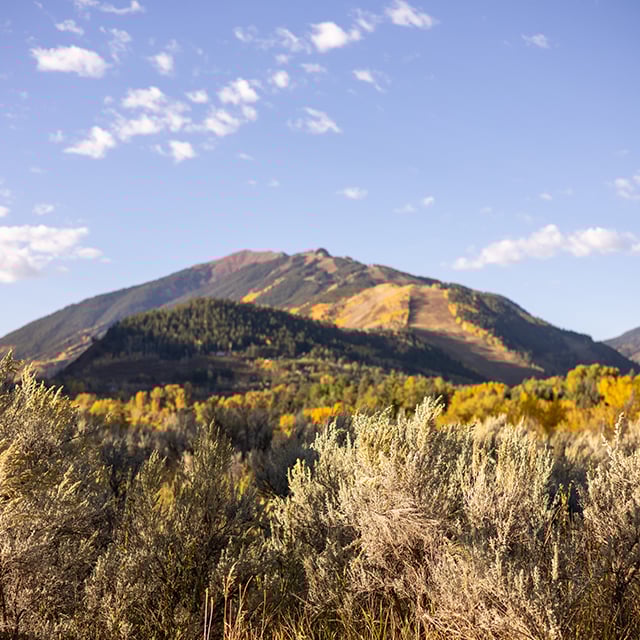 Aspen Mountains in the fall